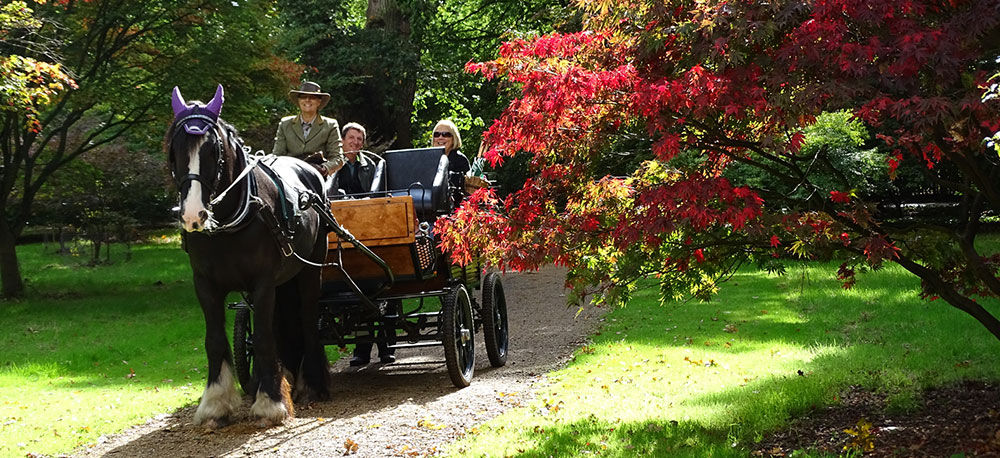 Ascot Carriages in the autumn